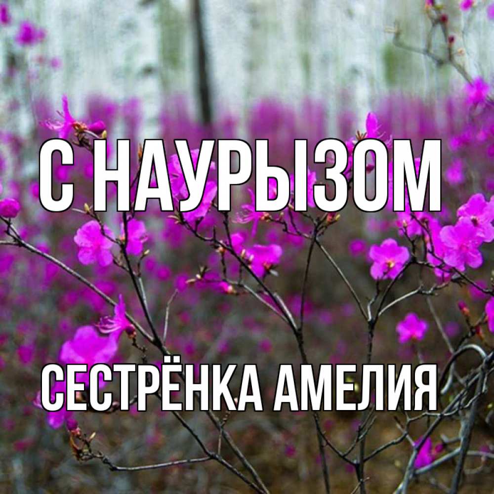 Открытка на каждый день с именем, Сестрёнка-Амелия С наурызом дикие цветы Прикольная открытка с пожеланием онлайн скачать бесплатно 