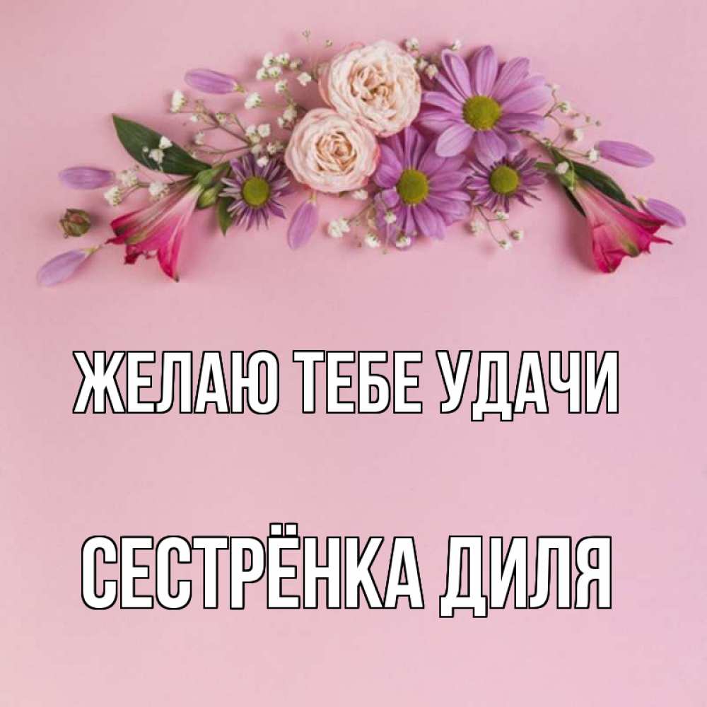 Открытка на каждый день с именем, Сестрёнка-Диля Желаю тебе удачи розовый фон Прикольная открытка с пожеланием онлайн скачать бесплатно 