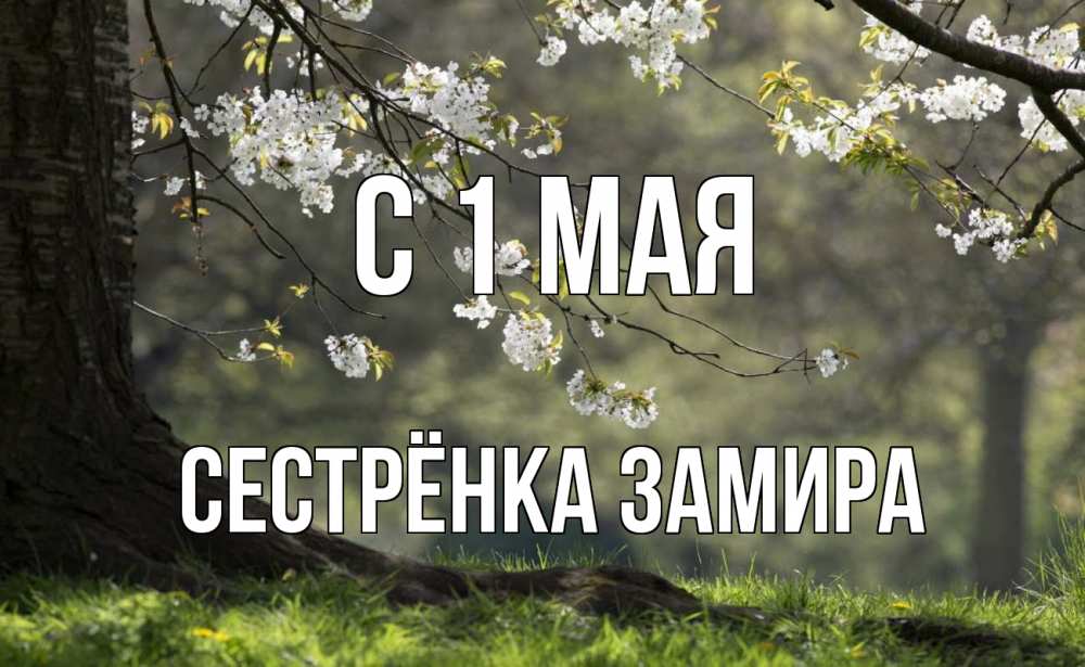 Открытка на каждый день с именем, Сестрёнка-Замира С 1 мая С 1 мая Прикольная открытка с пожеланием онлайн скачать бесплатно 