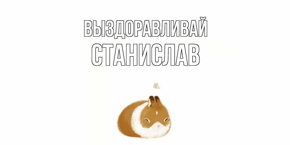 Открытка на каждый день с именем, Станислав Выздоравливай морская свинка на открытке с пожеланиями не болеть Прикольная открытка с пожеланием онлайн скачать бесплатно 
