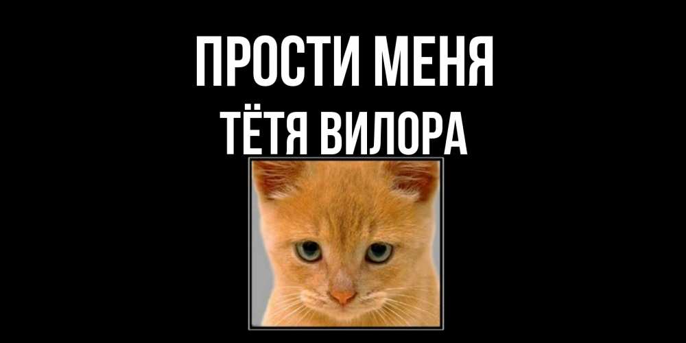 Открытка на каждый день с именем, Тётя-Вилора Прости меня рыжий грустный кот просит прощения Прикольная открытка с пожеланием онлайн скачать бесплатно 