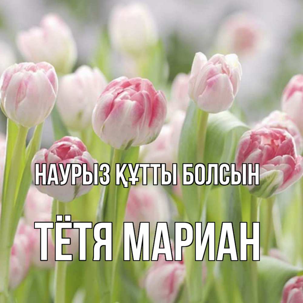 Открытка на каждый день с именем, Тётя-Мариан Наурыз құтты болсын цветы Прикольная открытка с пожеланием онлайн скачать бесплатно 