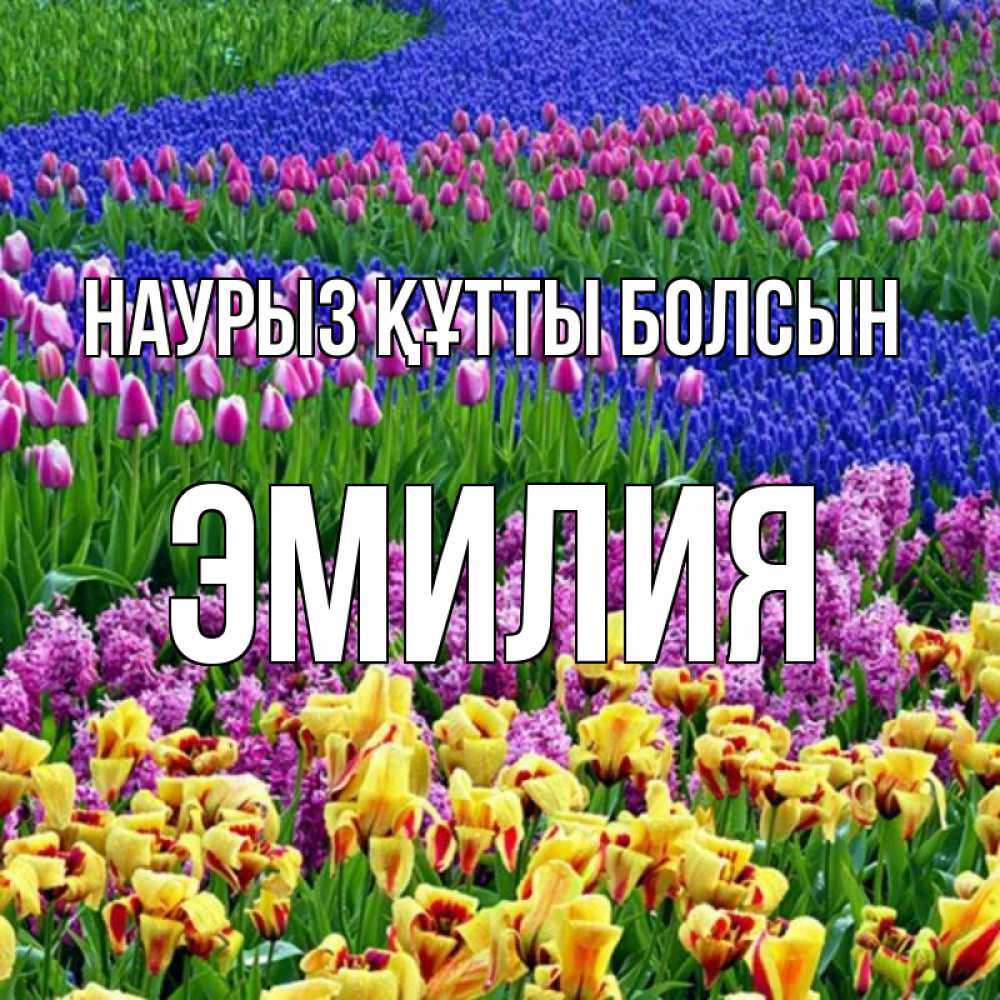 Открытка на каждый день с именем, Эмилия Наурыз құтты болсын цветы Прикольная открытка с пожеланием онлайн скачать бесплатно 