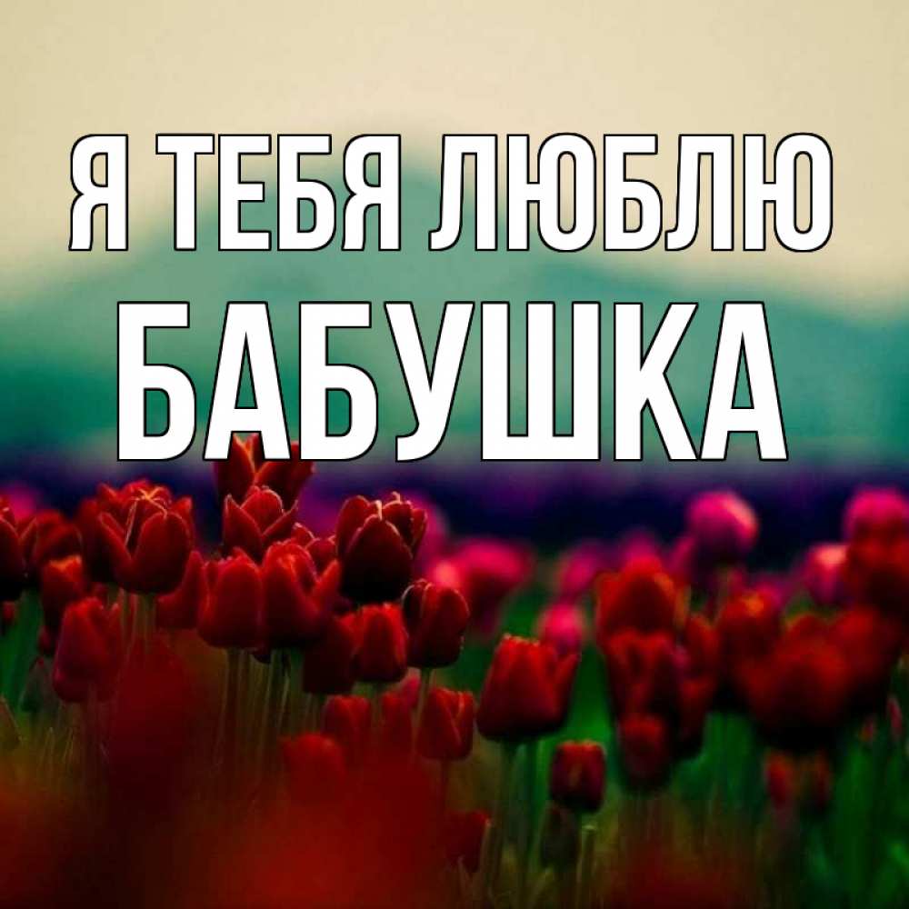 Otkrytka S Imenem Babushka Ya Tebya Lyublyu Otkrytki Na Kazhdyj Den S Imenami I Pozhelaniyami