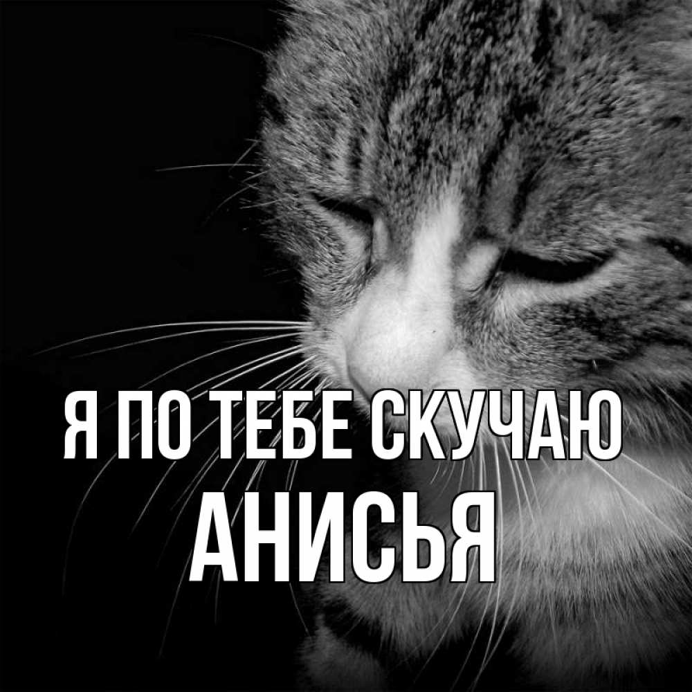 Открытка на каждый день с именем, Анисья Я по тебе скучаю мне скучно Прикольная открытка с пожеланием онлайн скачать бесплатно 