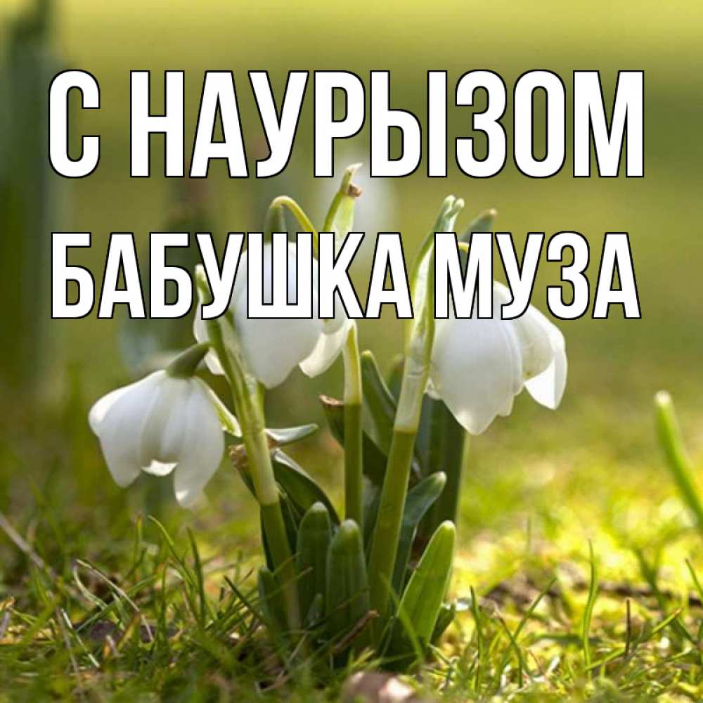Открытка на каждый день с именем, Бабушка-Муза С наурызом ранние цветы 2 Прикольная открытка с пожеланием онлайн скачать бесплатно 