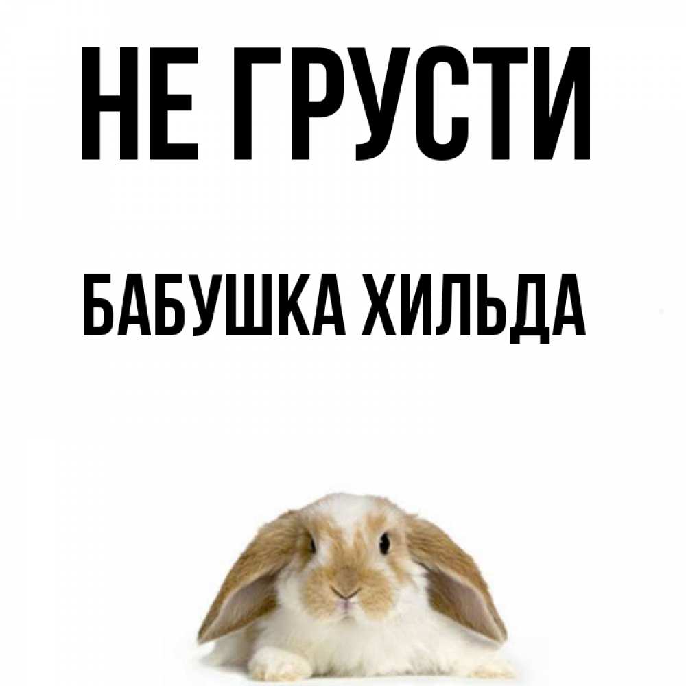 Открытка на каждый день с именем, Бабушка-Хильда Не грусти коричнево белый заяц с большими ушками Прикольная открытка с пожеланием онлайн скачать бесплатно 