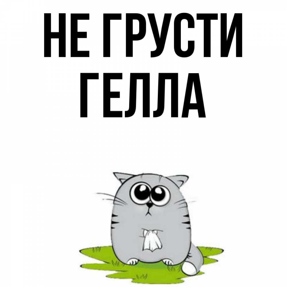 Открытка на каждый день с именем, Гелла Не грусти грустный котяра Прикольная открытка с пожеланием онлайн скачать бесплатно 