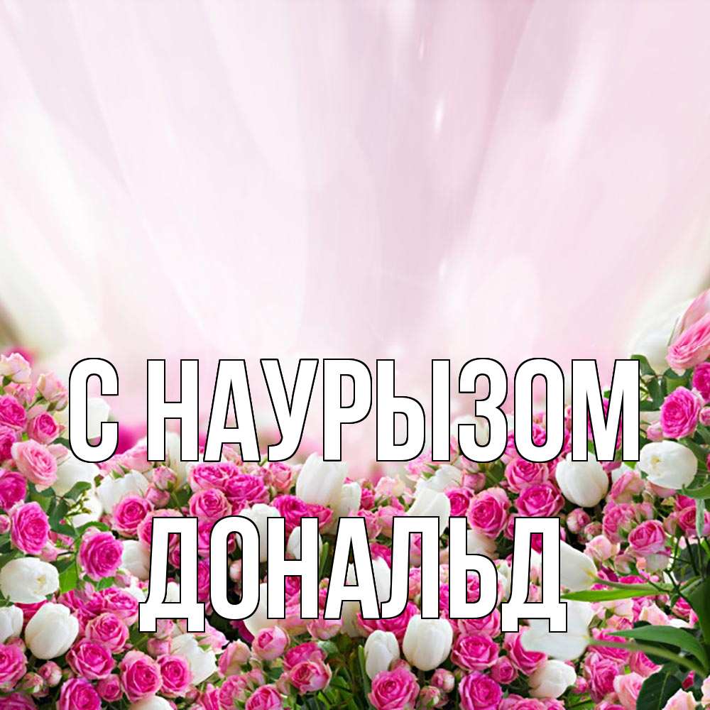 Открытка на каждый день с именем, Дональд С наурызом под снегом Прикольная открытка с пожеланием онлайн скачать бесплатно 