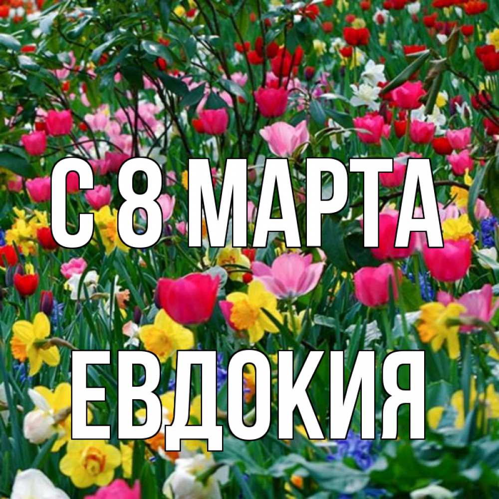 Открытка на каждый день с именем, Евдокия С 8 МАРТА с международным женским днем поздравления для женщины Прикольная открытка с пожеланием онлайн скачать бесплатно 