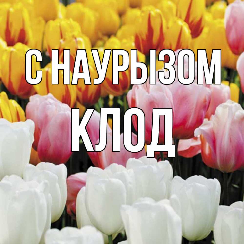 Открытка на каждый день с именем, Клод С наурызом разноцветные цветы Прикольная открытка с пожеланием онлайн скачать бесплатно 