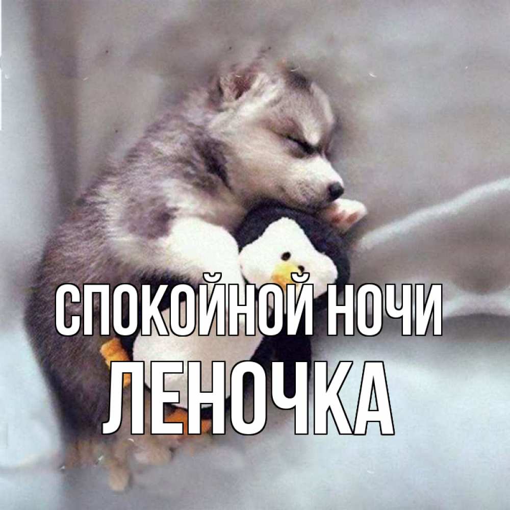 Открытка на каждый день с именем, ЛЕНОЧКА Спокойной ночи обнимашки щенка и пингвина Прикольная открытка с пожеланием онлайн скачать бесплатно 