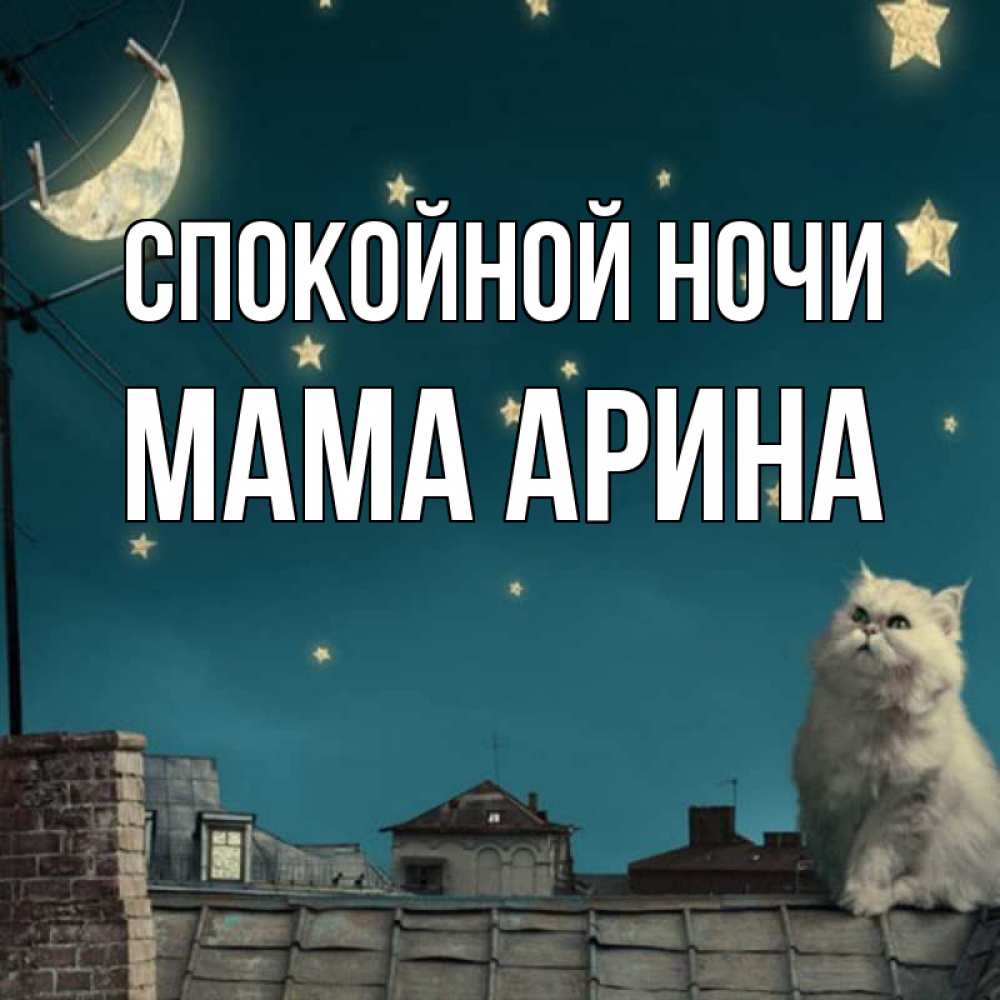 Открытка на каждый день с именем, Мама-Арина Спокойной ночи белый кот сидит на крыше Прикольная открытка с пожеланием онлайн скачать бесплатно 