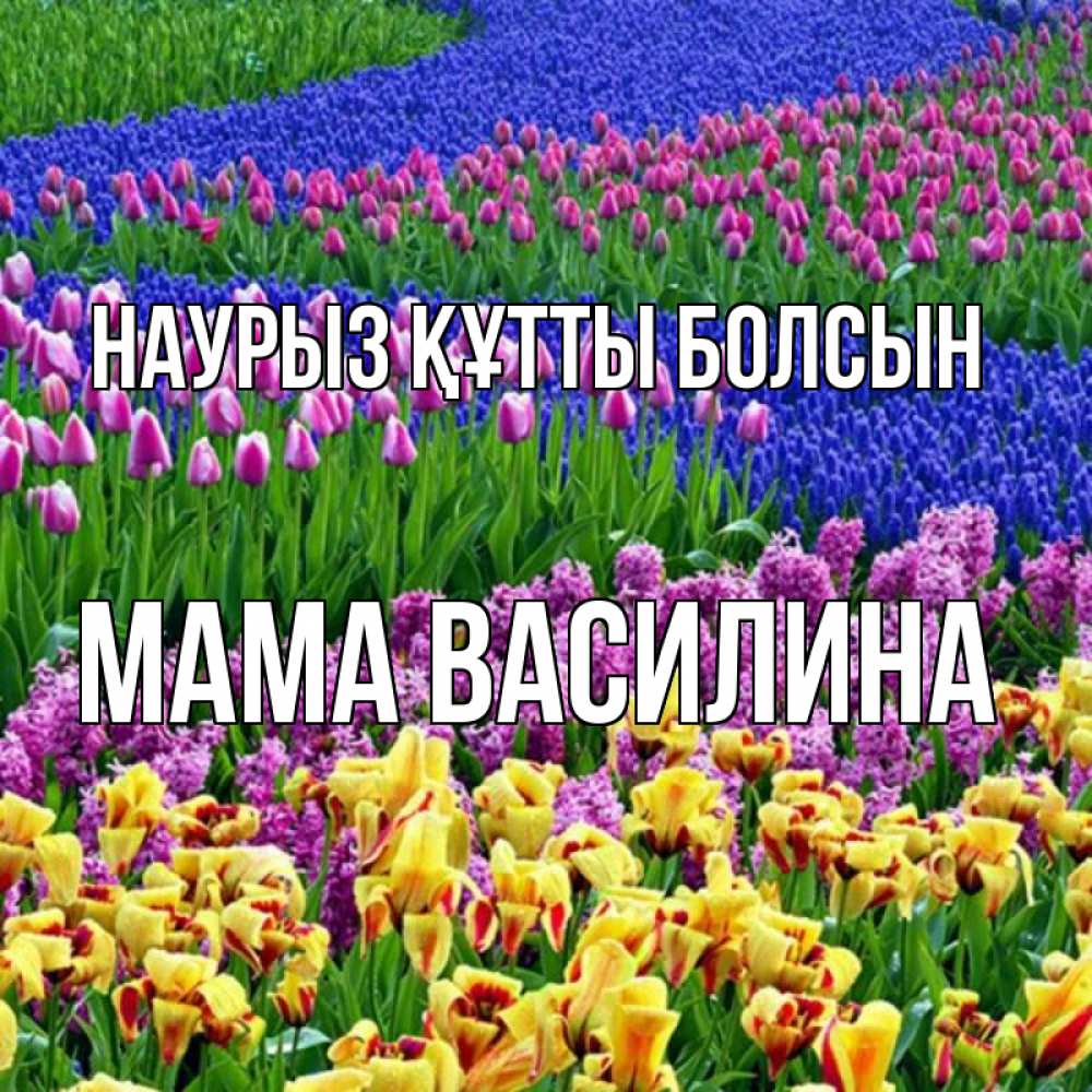 Открытка на каждый день с именем, Мама-Василина Наурыз құтты болсын цветы Прикольная открытка с пожеланием онлайн скачать бесплатно 