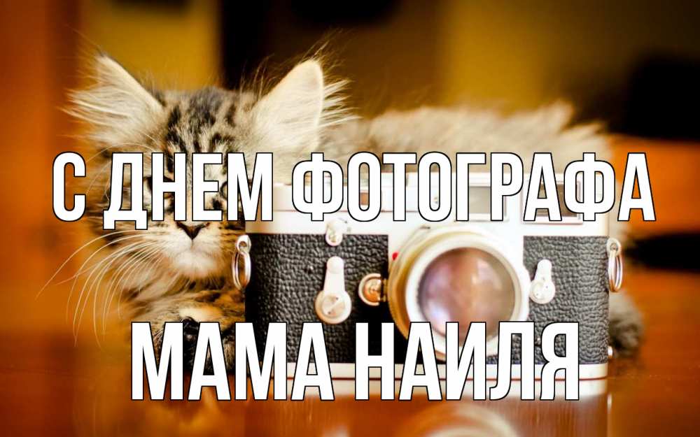 Открытка на каждый день с именем, Мама-Наиля С днем фотографа с днем фотографа Прикольная открытка с пожеланием онлайн скачать бесплатно 