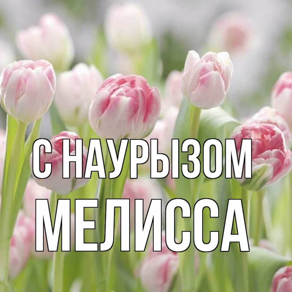 Открытка на каждый день с именем, Мелисса С наурызом цветы Прикольная открытка с пожеланием онлайн скачать бесплатно 