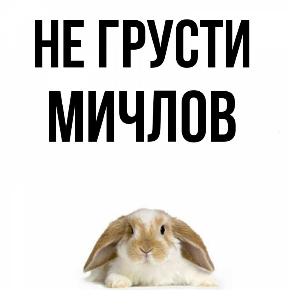 Открытка на каждый день с именем, Мичлов Не грусти коричнево белый заяц с большими ушками Прикольная открытка с пожеланием онлайн скачать бесплатно 
