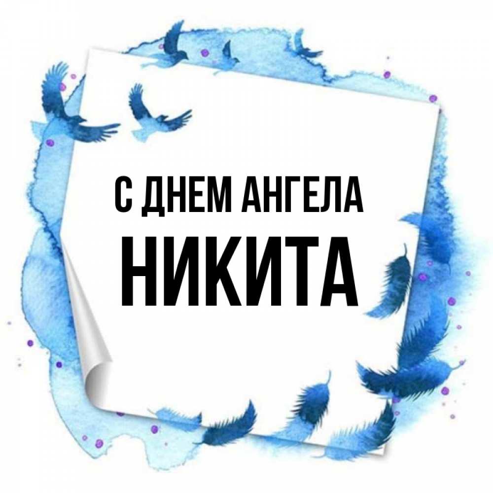 Открытка на каждый день с именем, Никита С днем ангела красивые птицы летят Прикольная открытка с пожеланием онлайн скачать бесплатно 