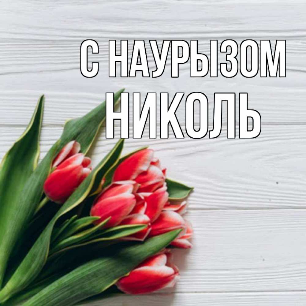Открытка на каждый день с именем, Николь С наурызом весна 2 Прикольная открытка с пожеланием онлайн скачать бесплатно 