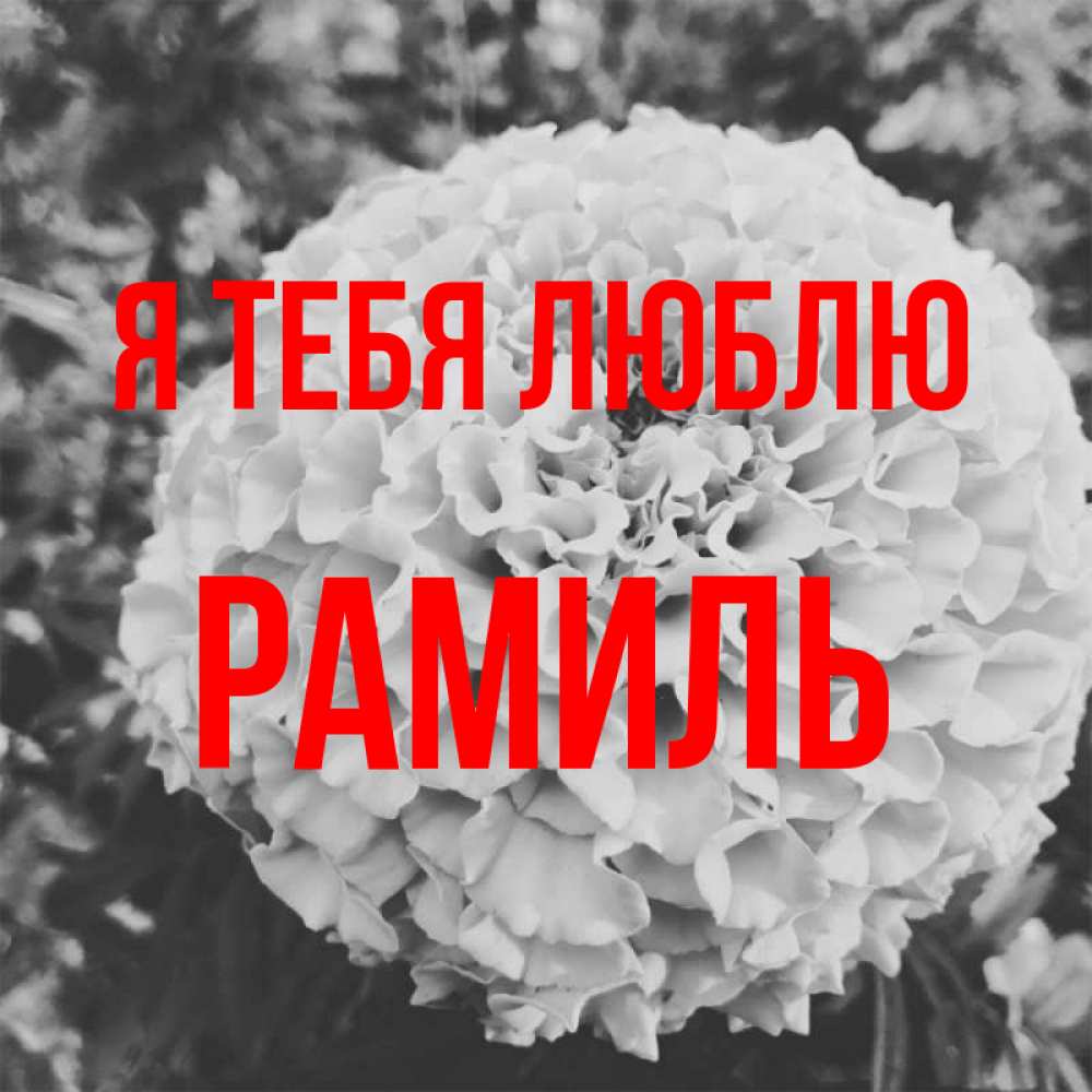 Открытка на каждый день с именем, Рамиль Я тебя люблю подпись Прикольная открытка с пожеланием онлайн скачать бесплатно 