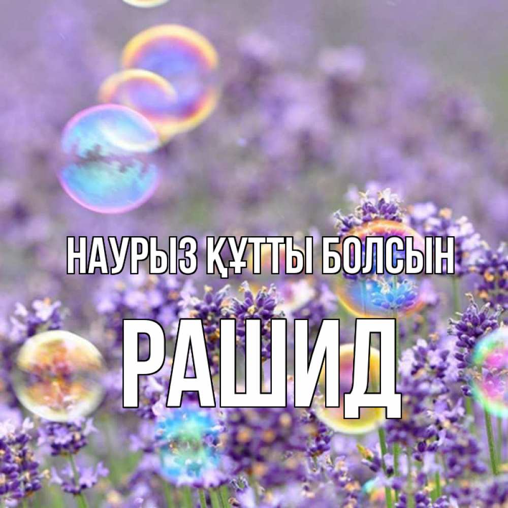 Открытка на каждый день с именем, Рашид Наурыз құтты болсын цветы Прикольная открытка с пожеланием онлайн скачать бесплатно 
