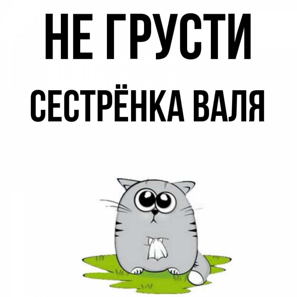 Открытка на каждый день с именем, Сестрёнка-Валя Не грусти грустный котяра Прикольная открытка с пожеланием онлайн скачать бесплатно 