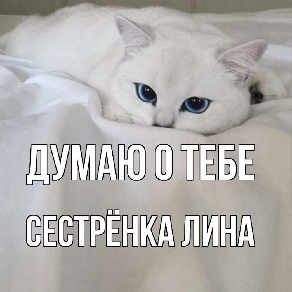 Открытка на каждый день с именем, Сестрёнка-Лина Думаю о тебе я очень по тебе скучаю и тоскую Прикольная открытка с пожеланием онлайн скачать бесплатно 