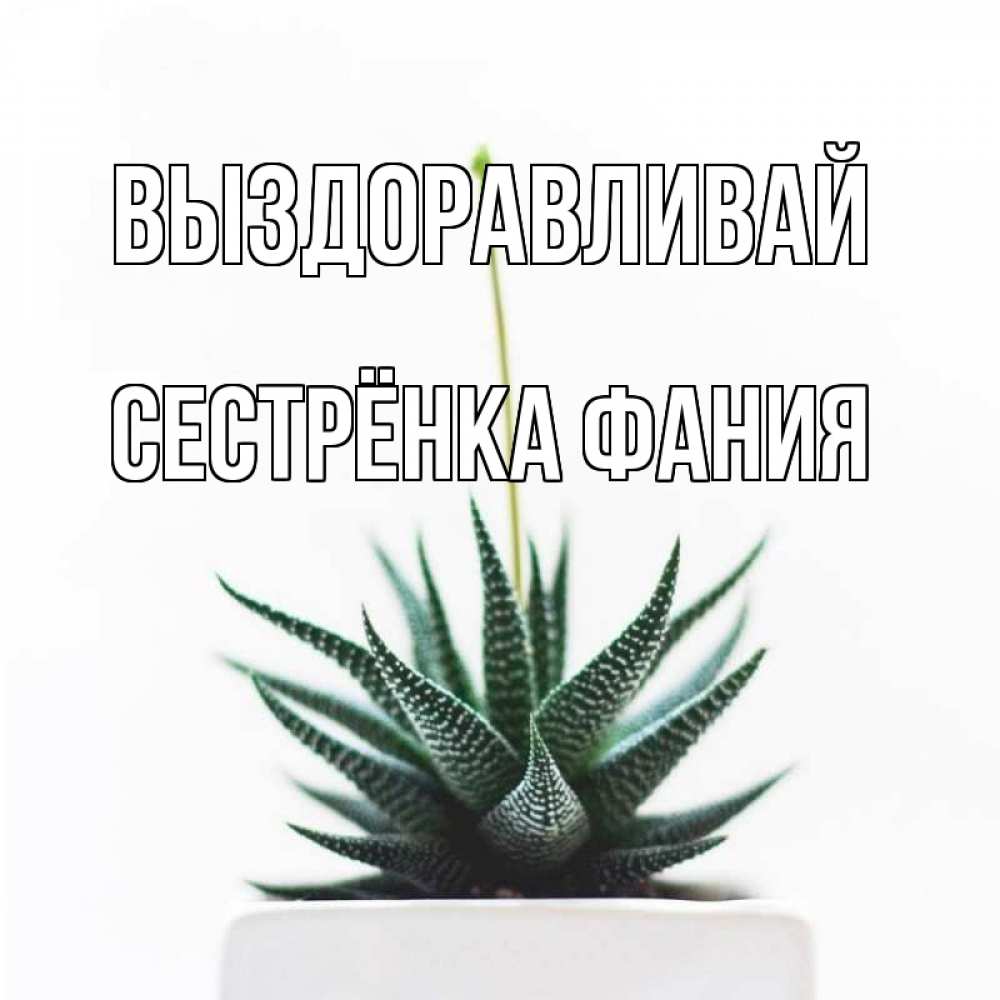 Открытка на каждый день с именем, Сестрёнка-Фания Выздоравливай короче это непонятная колючка Прикольная открытка с пожеланием онлайн скачать бесплатно 
