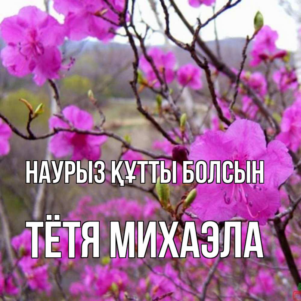 Открытка на каждый день с именем, Тётя-Михаэла Наурыз құтты болсын наурыз мейрамы кутты болсын Прикольная открытка с пожеланием онлайн скачать бесплатно 