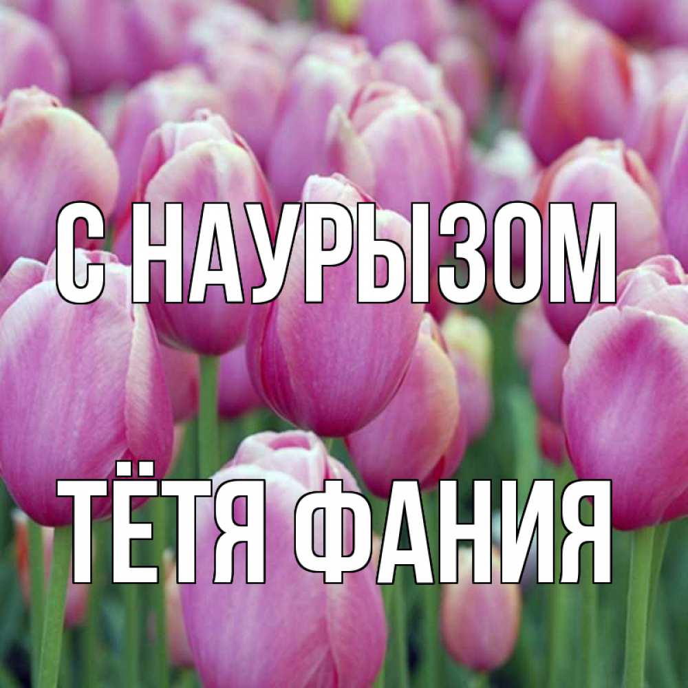 Открытка на каждый день с именем, Тётя-Фания С наурызом праздник весны наурыз 69 Прикольная открытка с пожеланием онлайн скачать бесплатно 