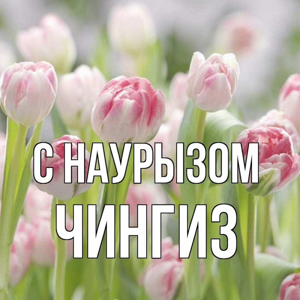 Открытка на каждый день с именем, Чингиз С наурызом цветы Прикольная открытка с пожеланием онлайн скачать бесплатно 