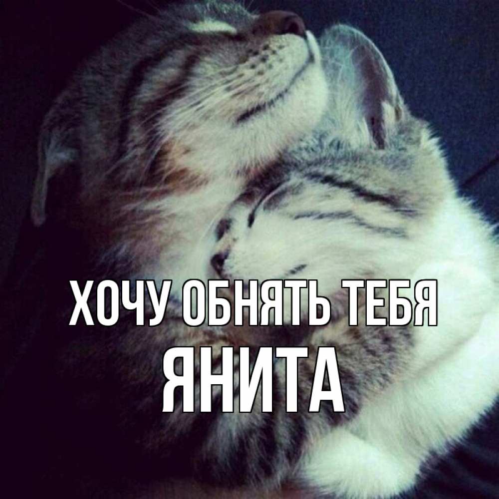 Открытка на каждый день с именем, Янита Хочу обнять тебя полосатики Прикольная открытка с пожеланием онлайн скачать бесплатно 