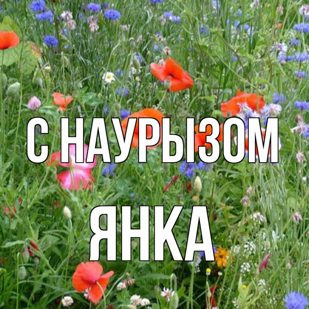 Открытка на каждый день с именем, Янка С наурызом праздник весны наурыз супер открытка Прикольная открытка с пожеланием онлайн скачать бесплатно 