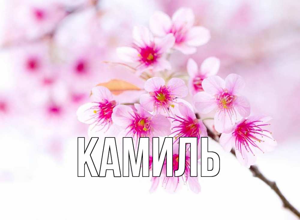 Картинки с именем мая