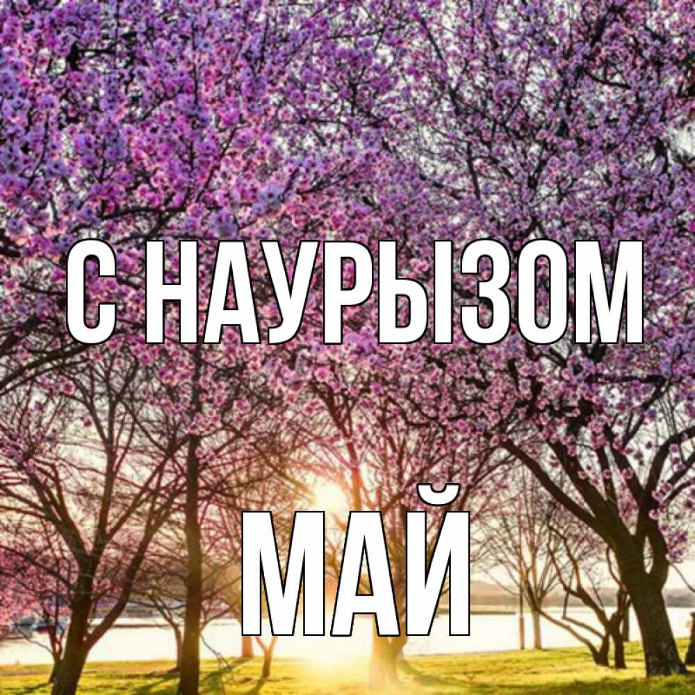 Открытка на каждый день с именем, Май С наурызом праздник весны наурыз Прикольная открытка с пожеланием онлайн скачать бесплатно 