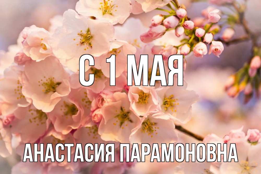 24 мая картинки красивые