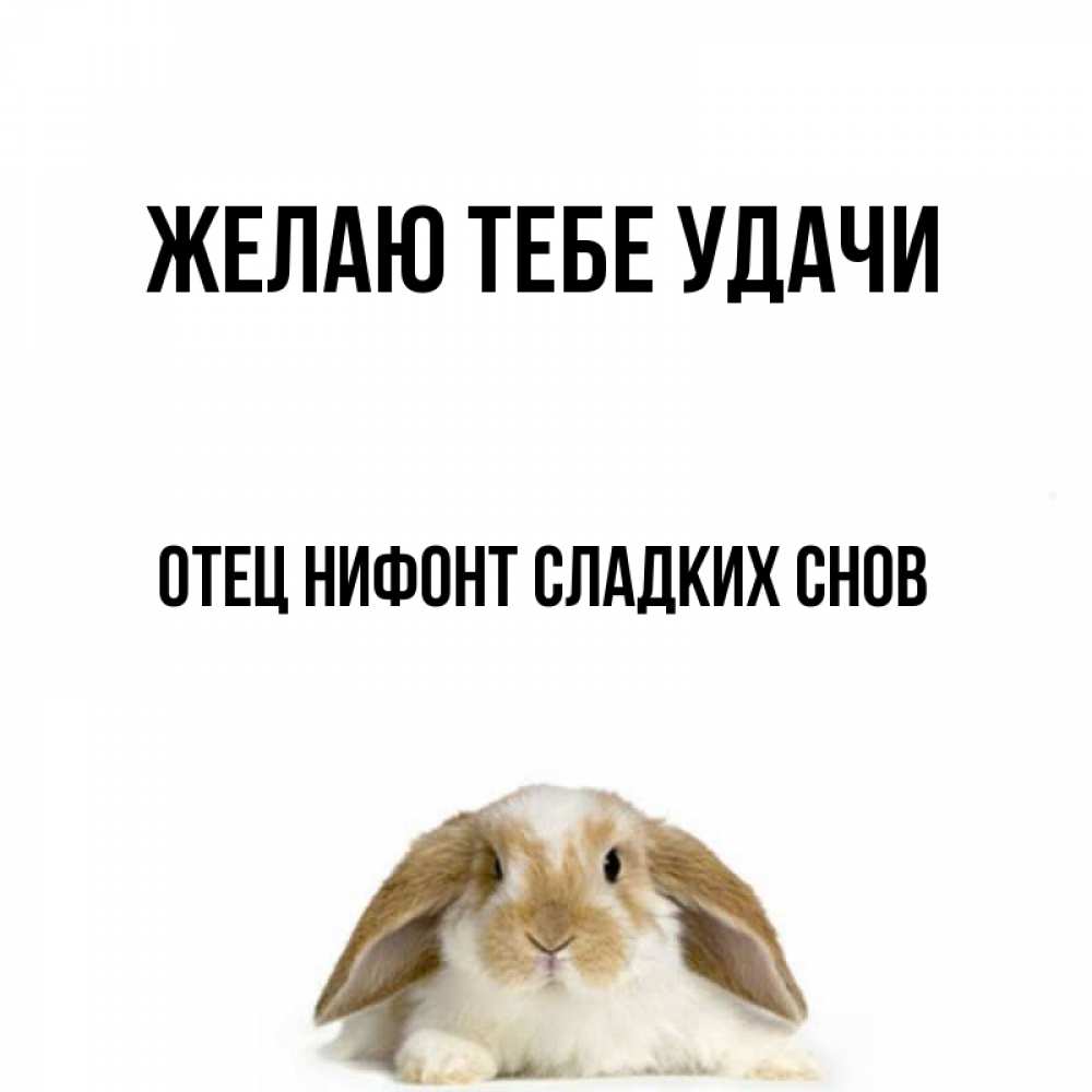 Пожелания спокойной ночи. Спокойной ночи храни вас бог. Желаем удачи картинки для презентации. Сон желают удачи. Сон желают удачи.