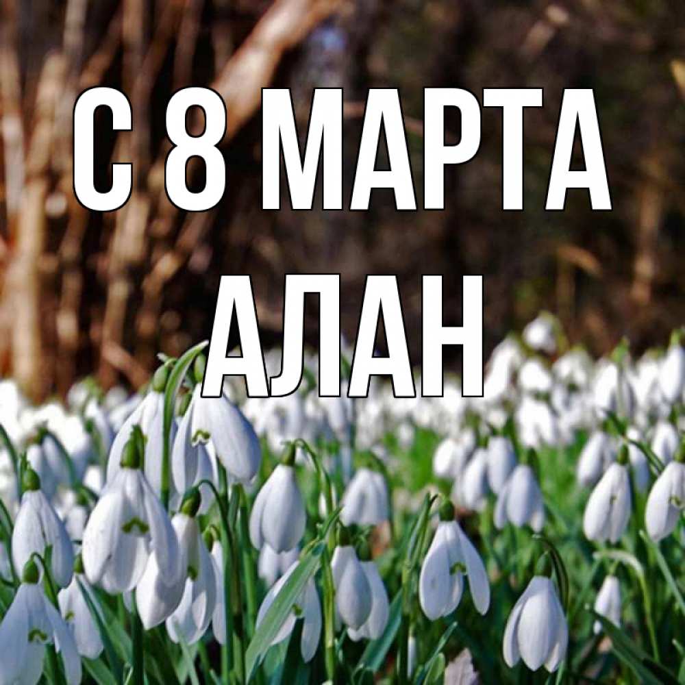 Открытка на каждый день с именем, Алан С 8 МАРТА с подснежниками 1 Прикольная открытка с пожеланием онлайн скачать бесплатно 