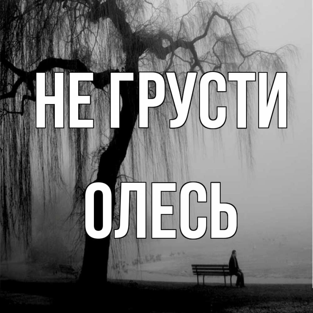 Открытка на каждый день с именем, Олесь Не грусти висящие ветки дерева и лавочка под деревом Прикольная открытка с пожеланием онлайн скачать бесплатно 