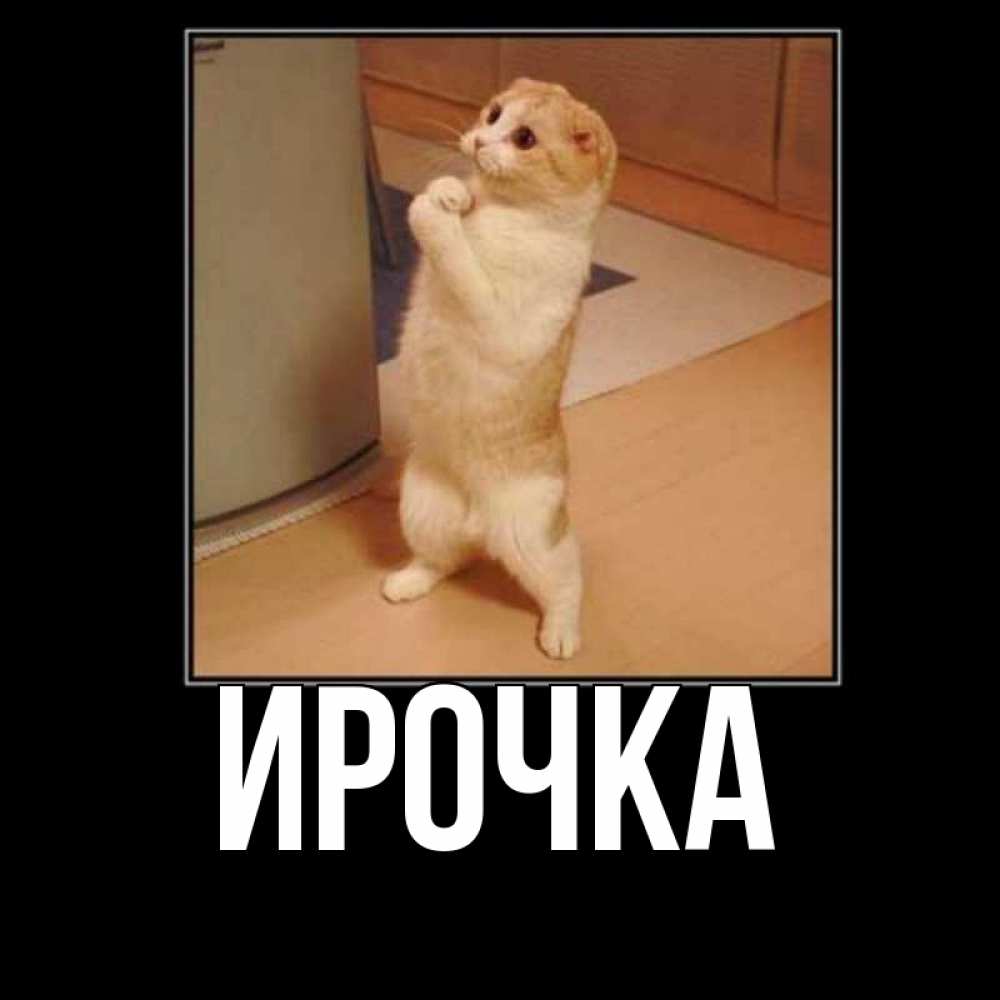 Картинка  с именем , ирочка