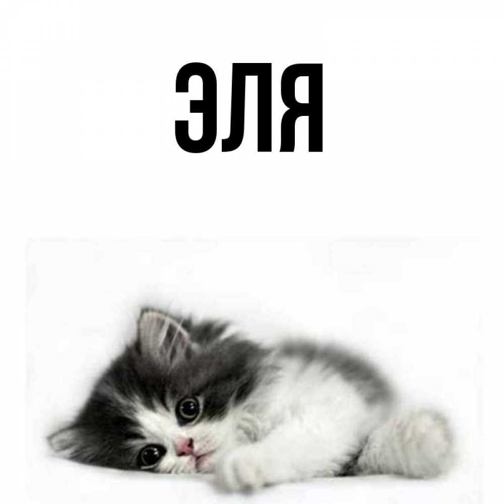 Открытка эля