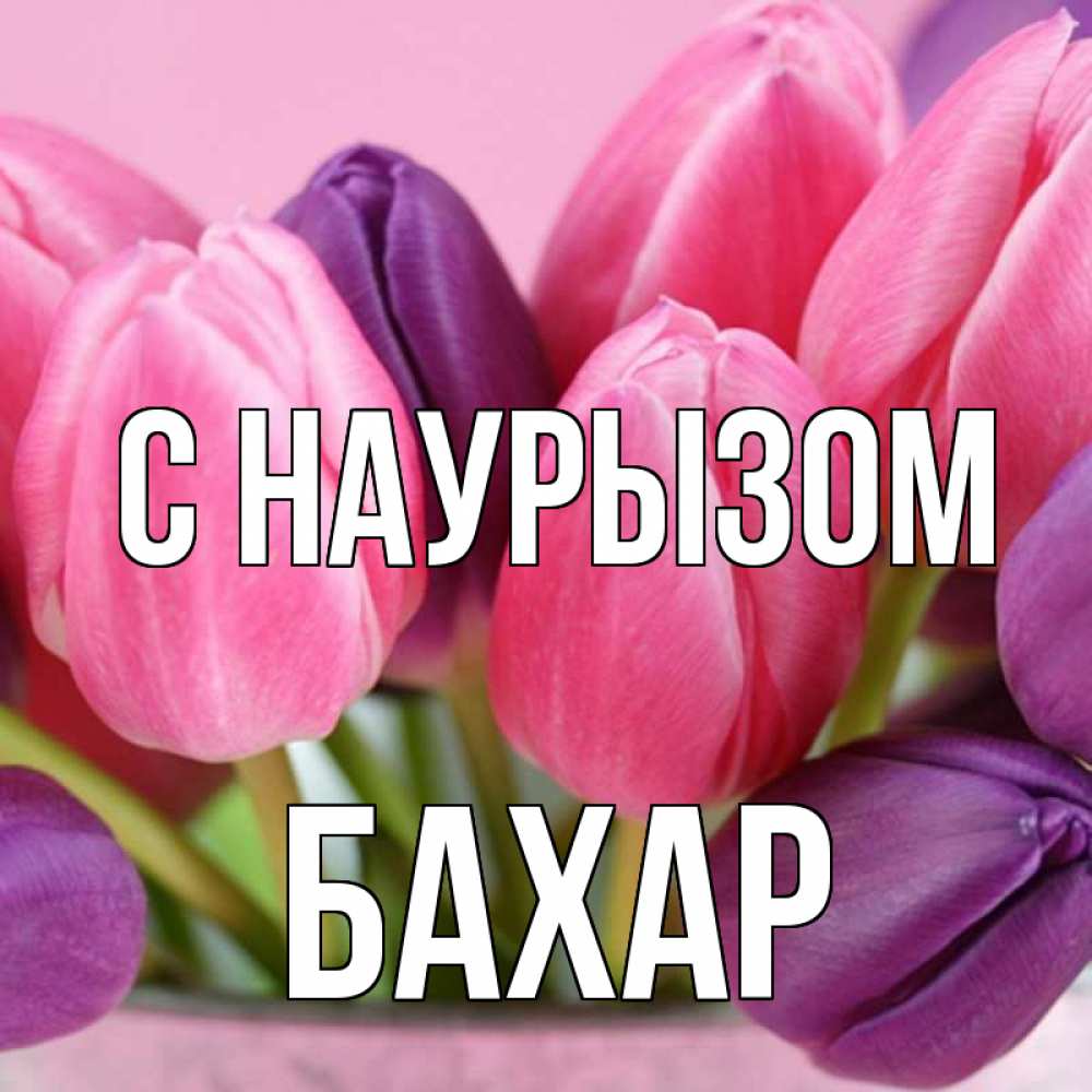 Картинка С наурызом, Бахар