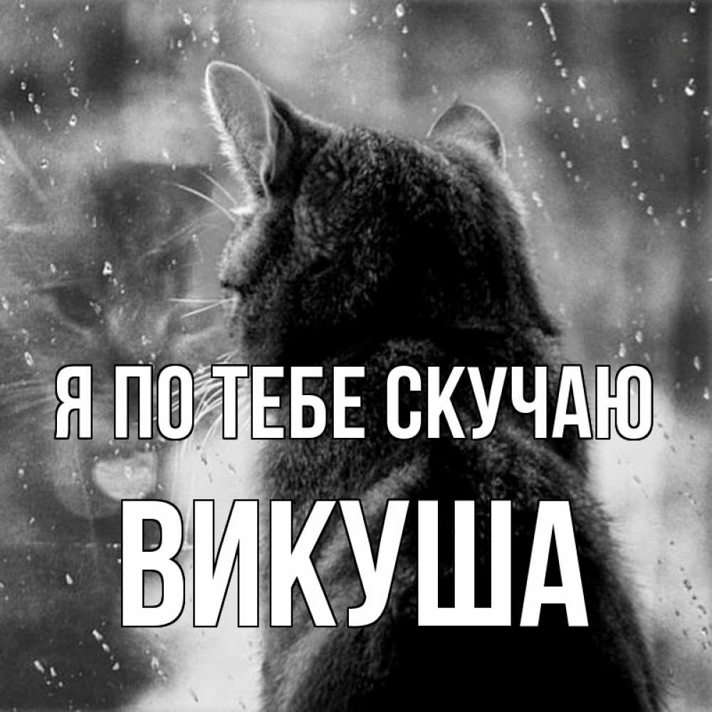 Картинка Я по тебе скучаю, Викуша