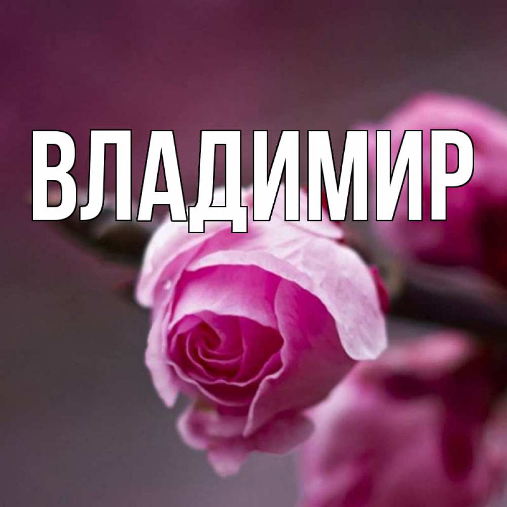 Открытка на каждый день с именем, Владимир Главная весна Прикольная открытка с пожеланием онлайн скачать бесплатно 