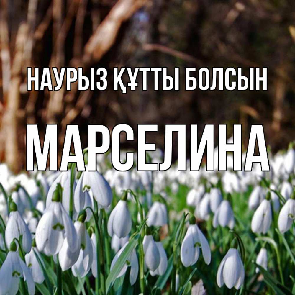 Открытка на каждый день с именем, Марселина Наурыз құтты болсын с подснежниками 1 Прикольная открытка с пожеланием онлайн скачать бесплатно 
