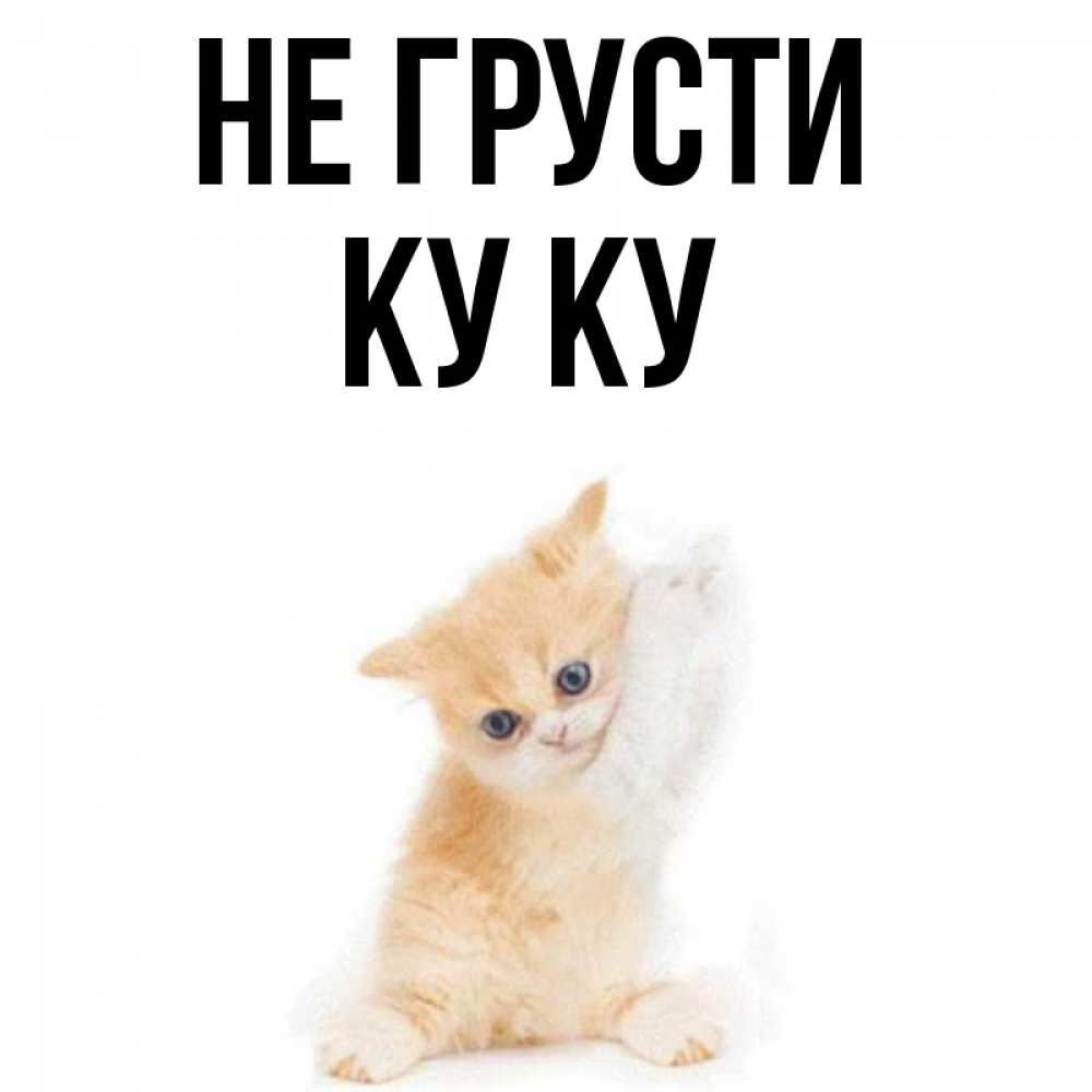 Совсем куку картинки