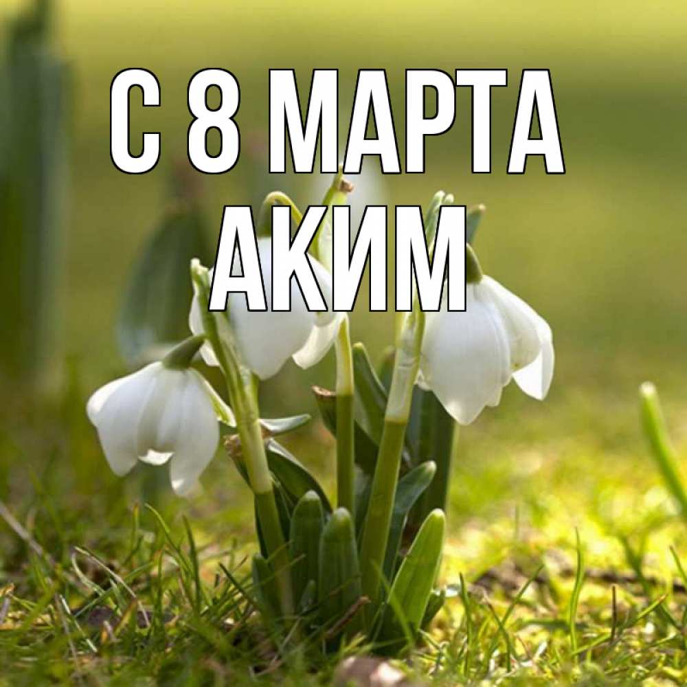 Открытка на каждый день с именем, Аким С 8 МАРТА ранние цветы 2 Прикольная открытка с пожеланием онлайн скачать бесплатно 