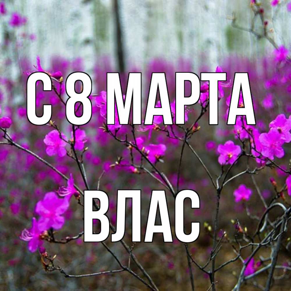 Картинка С 8 марта, Влас
