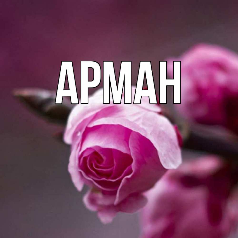 Картинка с именем арман, открытку красивым