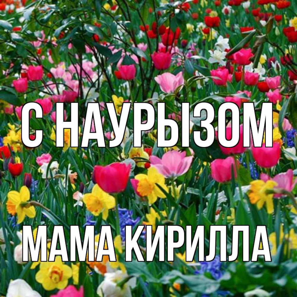 Открытка на каждый день с именем, Мама-Кирилла С наурызом с наурызом праздником весны поздравления для женщины Прикольная открытка с пожеланием онлайн скачать бесплатно 